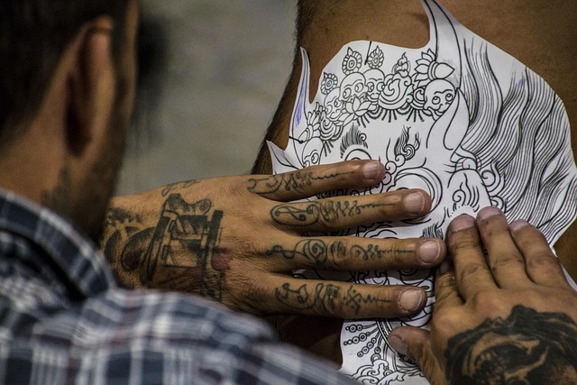 Are Tattoo Stencil Designs Transforming the Way We Use the 12 Best Apps to Draw in 2026