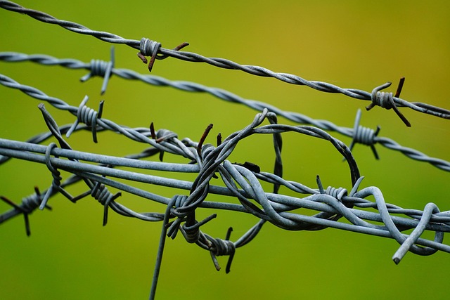 barbed wire tattoo