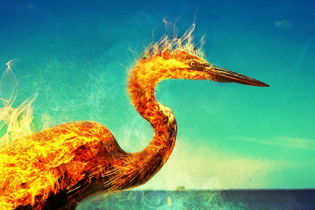 meaning of a phoenix tattoo