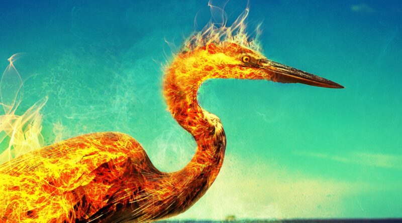 phoenix, flames, heron, bird, nature, mythology