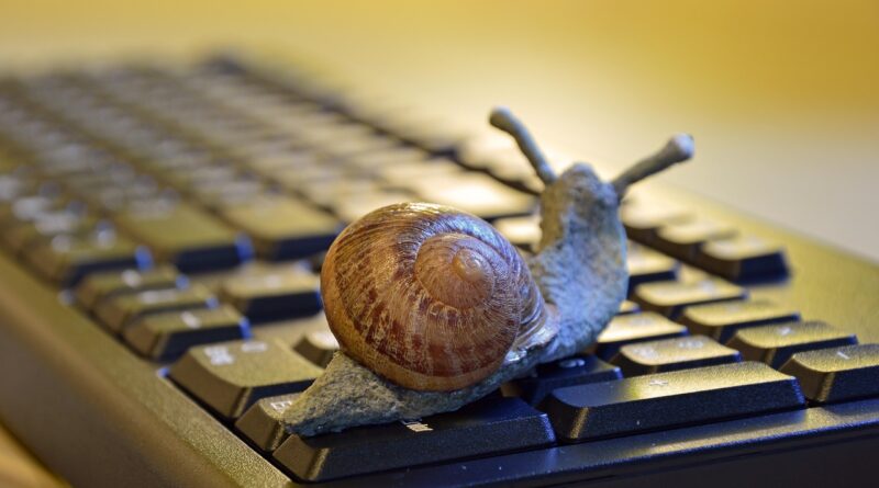 snail, shell, figure, keyboard, slow, deceleration, office, workplace, symbol, meaning, metaphor, fantasy, creativity, technology, snail, snail, snail, snail, snail, slow, metaphor