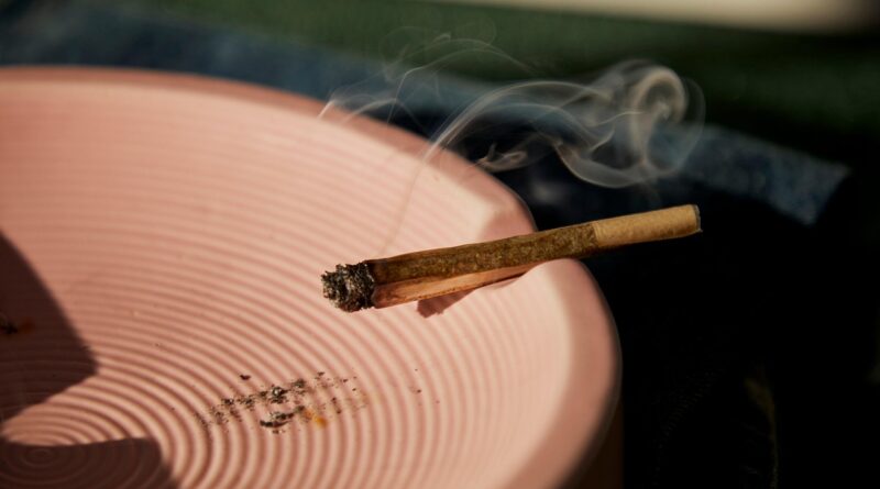 joint, smoking, ashtray, weed, smoke, pre-roll, cbd pre roll, blunt, hemp, ganja, closeup
