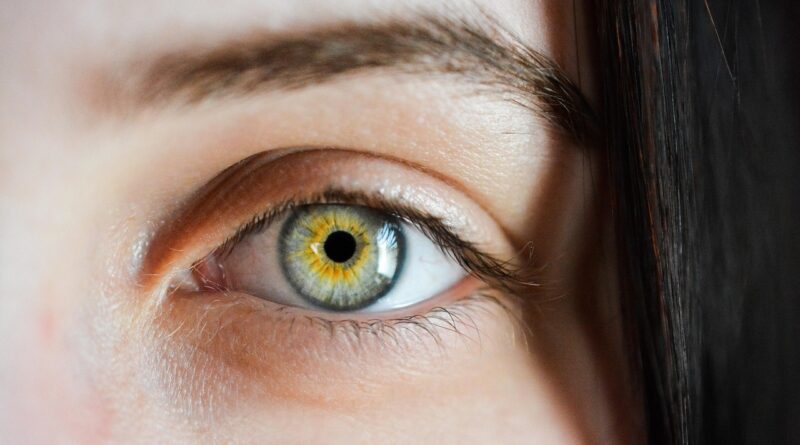 eye, iris, macro, natural, girl, eyebrows, detailed, green, brown, view, sight, human, face, vision, focus, eye, eye, eye, eye, eye