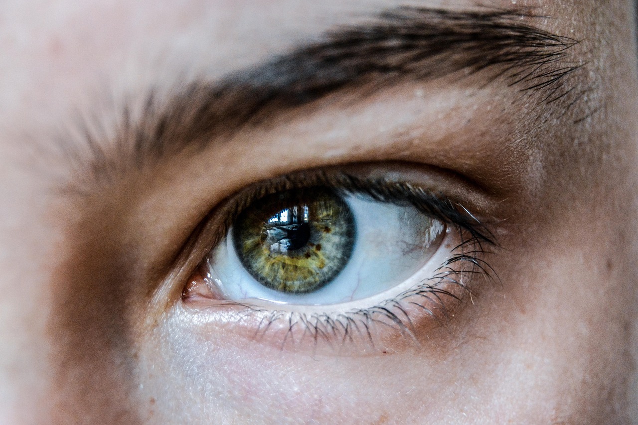eye, green, eyelashes, eyebrow, eyelid, vision, focus, retina, iris, pupil, human eye, green eye, close up, human, face, girl, woman, look, skin, eye, eye, eye, eye, eye, eyebrow, focus, human eye