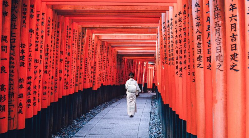 woman, path, kimono, walk, autumn, japanese, tradition, fashion, kimono, japanese, japanese, japanese, japanese, japanese
