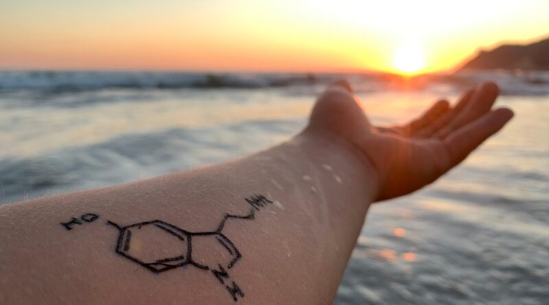 tattoo, chemist, beach, sea, water, ocean, nature, people, tanning, body, sun, sunbathing, man, tattoo, chemist, chemist, chemist, chemist, chemist