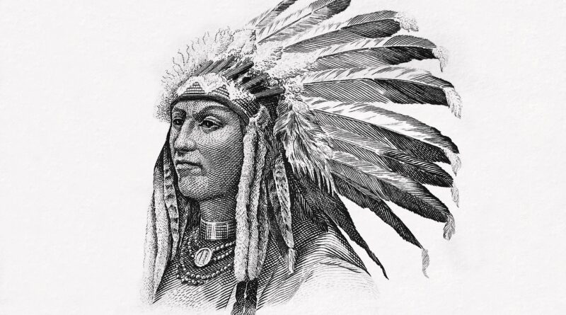native american, indians, chief, boss, plumage, headdress, feather jewelry, culture, native american, native american, native american, native american, native american