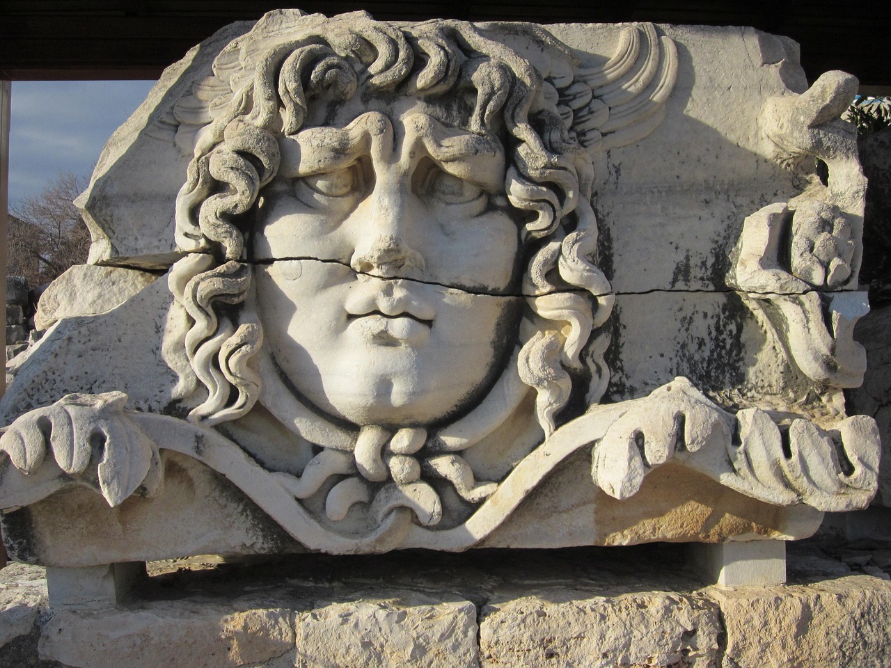 apollo temple, didim, didyma, alicamurcu, medusa, medusa, medusa, medusa, medusa, medusa