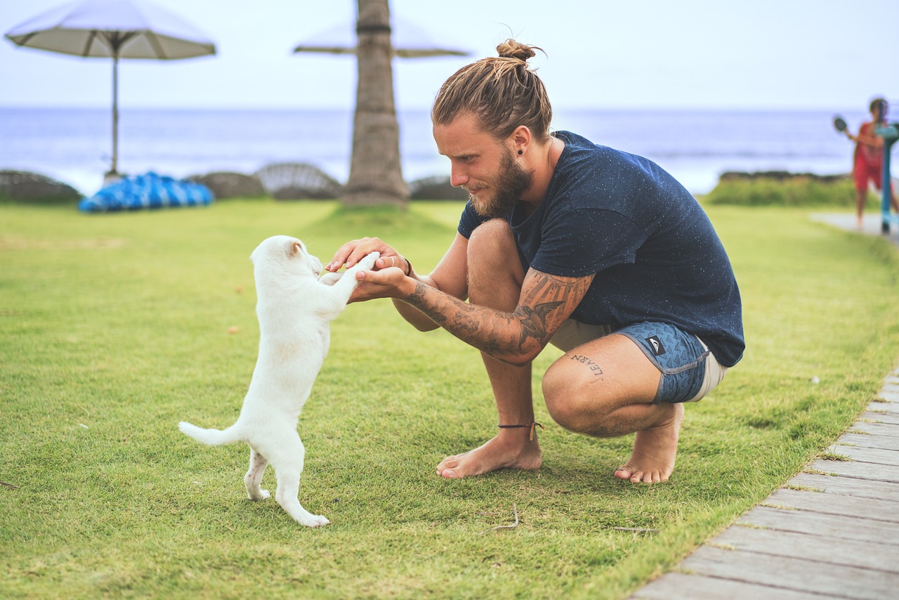 people, nature, man, boy, animal, dog, puppy, friend, play, beach, sea, sky, umbrella, pet, tattoo, arts, tree