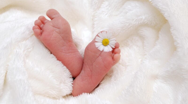 feet, baby, birth, child, blanket, newborn, born, infant, small, human, small feet, baby feet, newborn baby, baby, baby, baby, baby, baby, birth