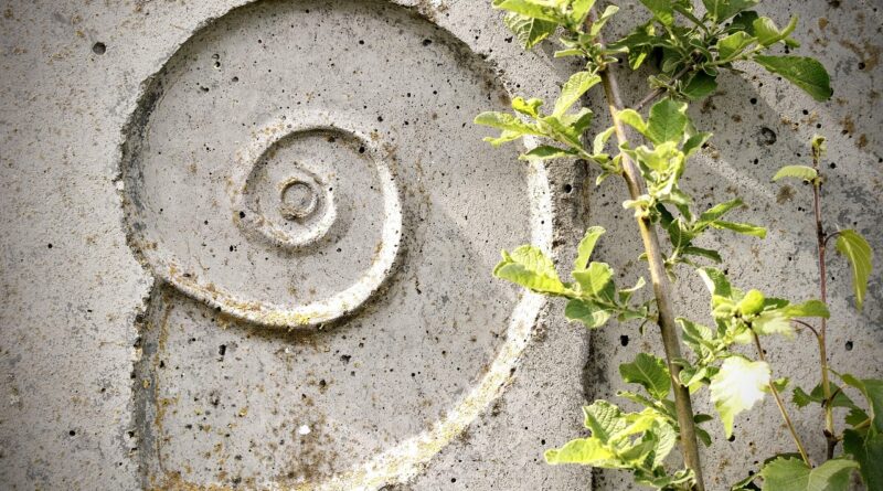 snail, relief, texture, wall, shell, stone, spiral, ornament, template, structure, figure, piece, facade, maori figure, art, symbol