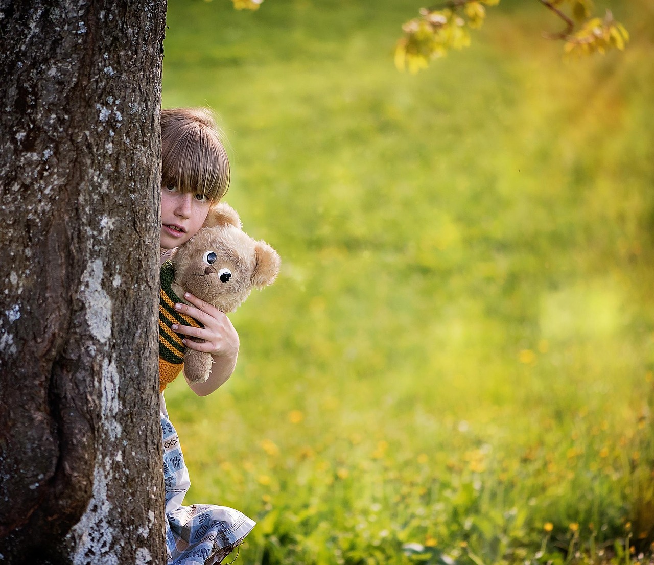 child, person, human, girl, teddy, teddy bear, hide, tree, nature, outdoors, teddy bear, hide, hide, hide, hide, hide