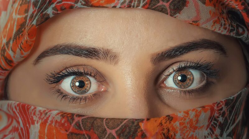 woman, veil, hijab, headscarf, eyes, exotic, beauty, scarf, traditional, fashion, style, portrait, young, face, kerchief, people, arabic, islam, focus, glance, gaze, iris, stare, looking, culture, eyes, eyes, eyes, eyes, eyes, face, face, people, islam, culture