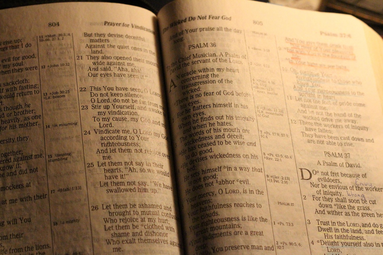 bible, holy book, study, christian, christianity, jesus, christ, story, reading, prayer, praying, brown book, brown books, brown reading, brown study, brown bible, brown pray, brown studying, brown prayer, bible, bible, bible, bible, bible, christian, jesus, jesus, prayer, prayer, prayer, prayer, prayer, praying